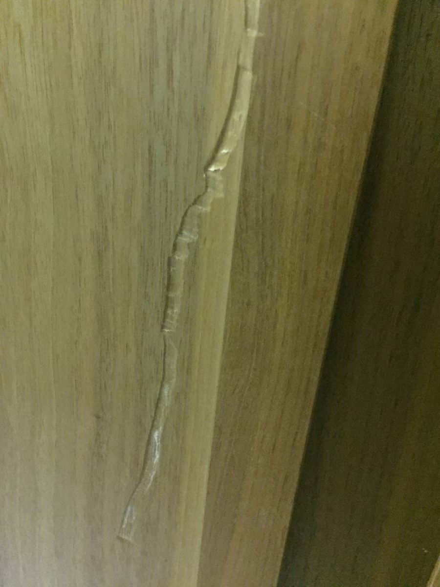 Photo by Tamara Smith of Handy Moves - Large