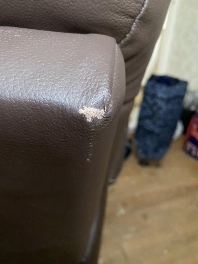 Second photo by Tan Clarkson of AnyVan - Large