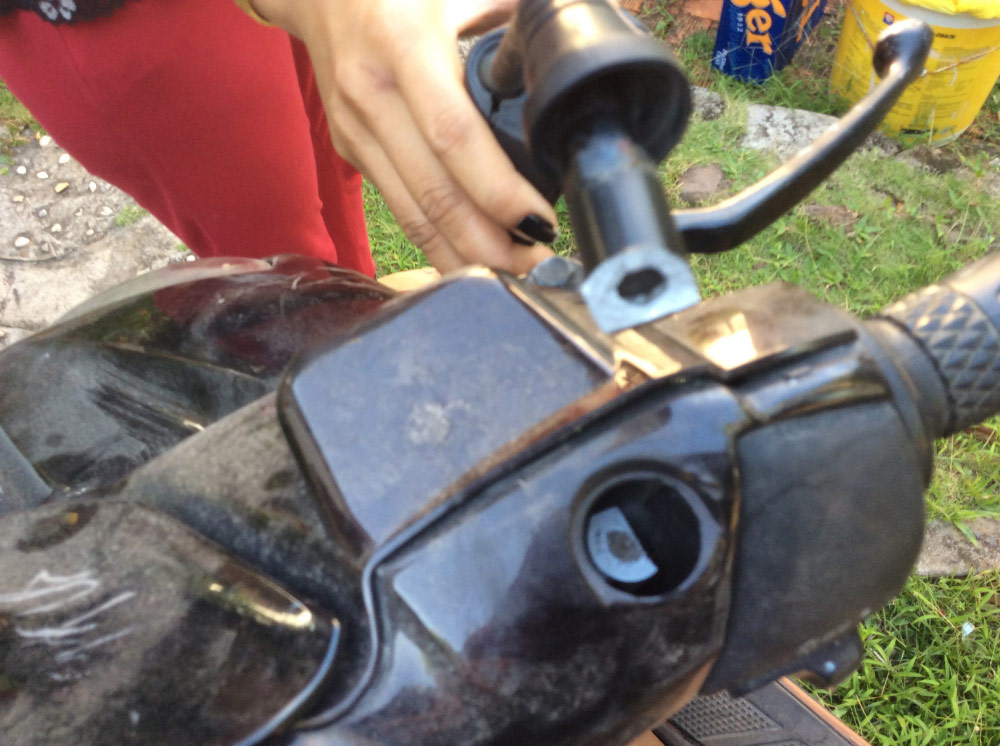 Photo by Alan Unger of Asian Tiger - Large