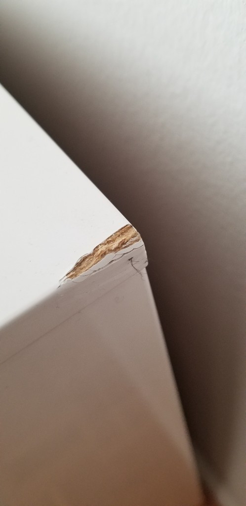 Photo by Victoria Sullivan of FlatRate Moving - Large