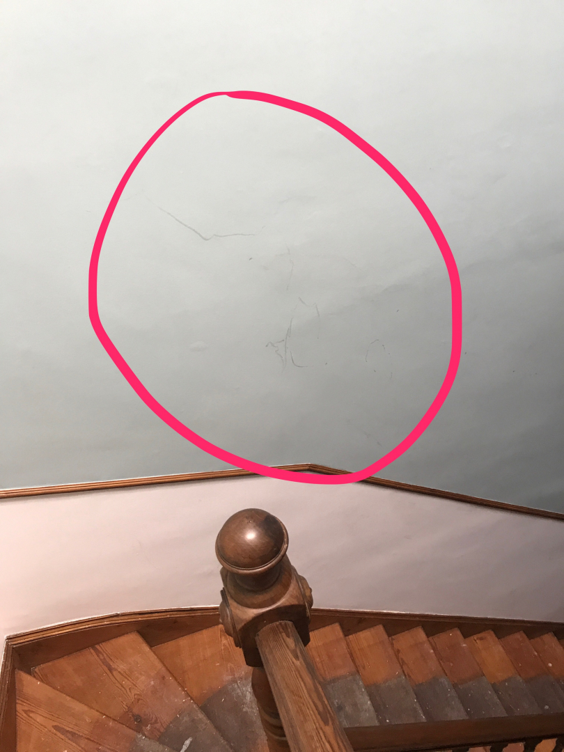 Photo by Kate Buchanan Uk of Clockwork Removals & Storage - Large