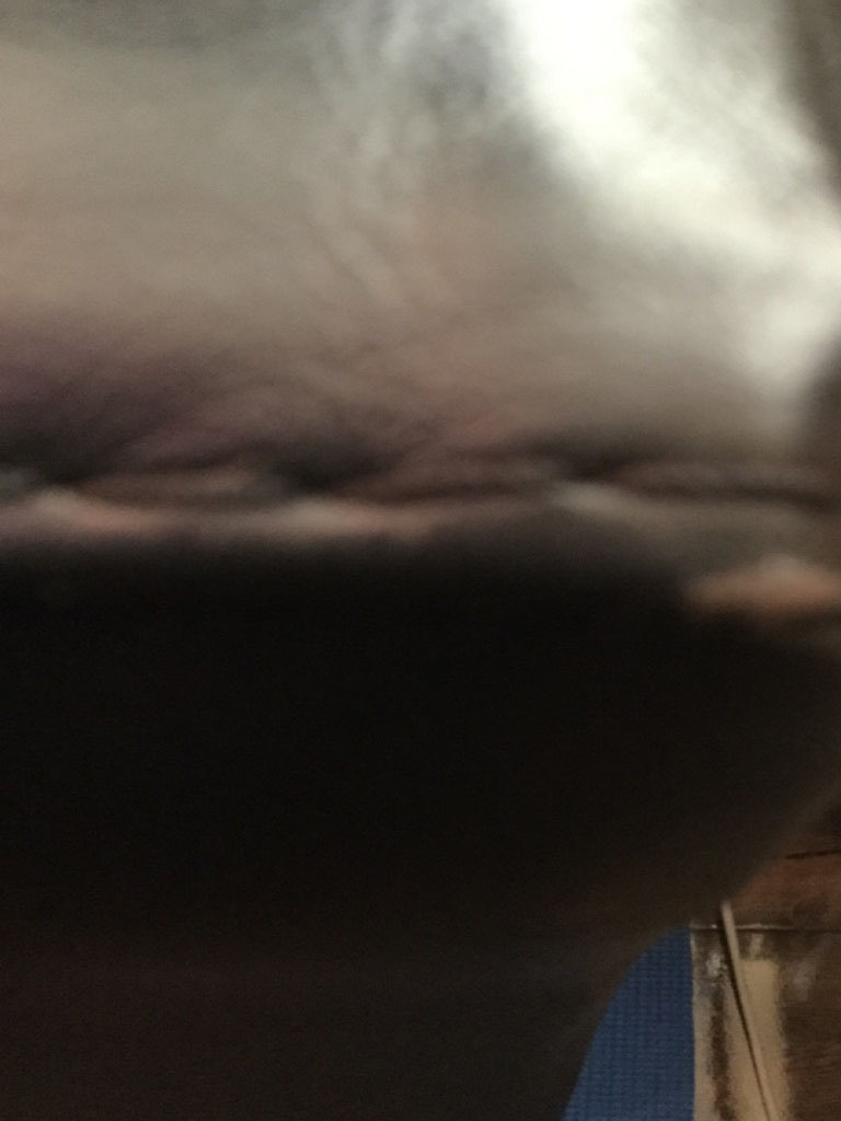 Second photo by Rachel Jordan of Castle removals - Large