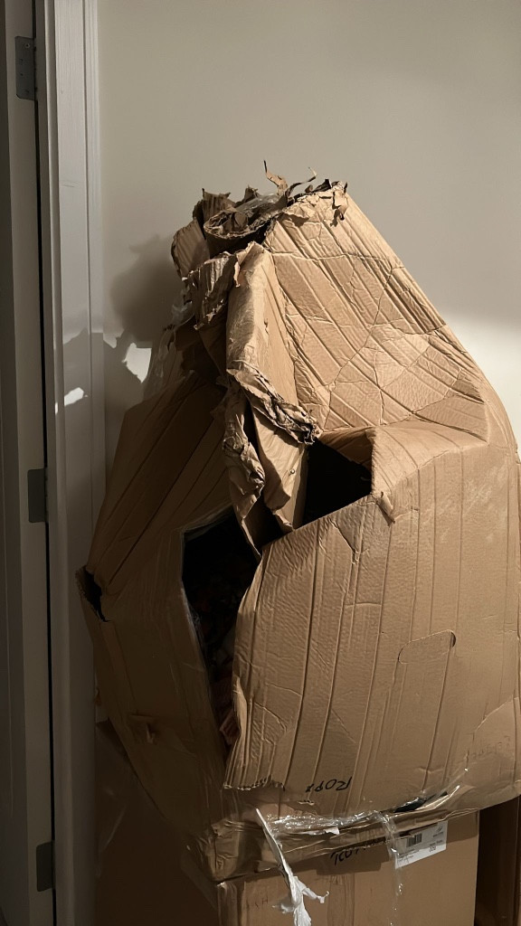 Second photo by Ashlinn Huisman of Careline Moving and Storage - Large