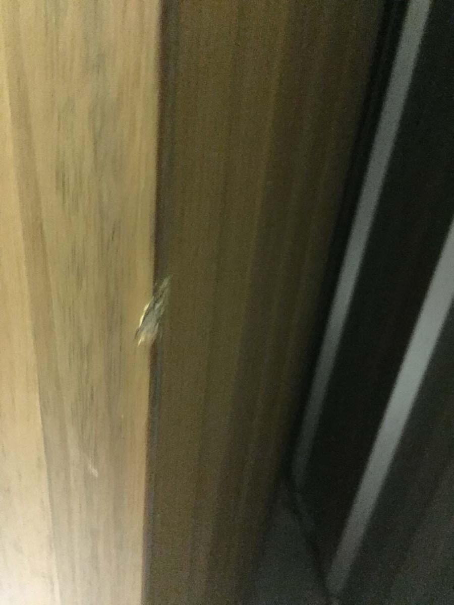 Second photo by Tamara Smith of Handy Moves - Large