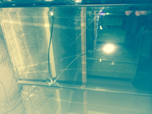 Photo by Mrs Darcy of Simply Removals - Large