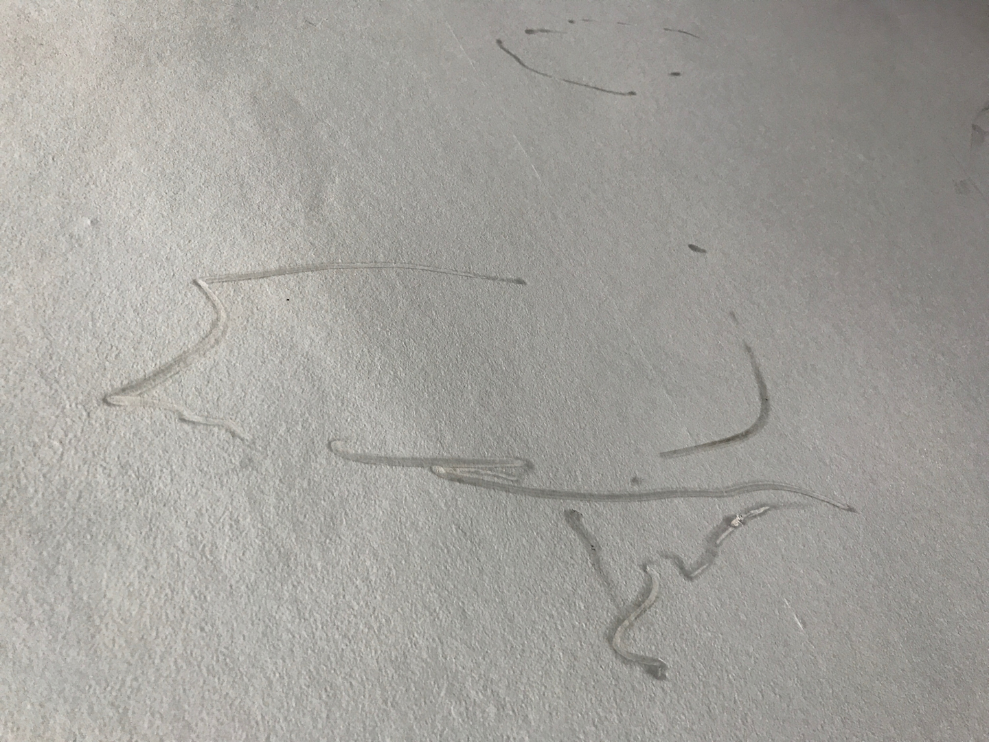 Second photo by Kate Buchanan Uk of Clockwork Removals & Storage - Large