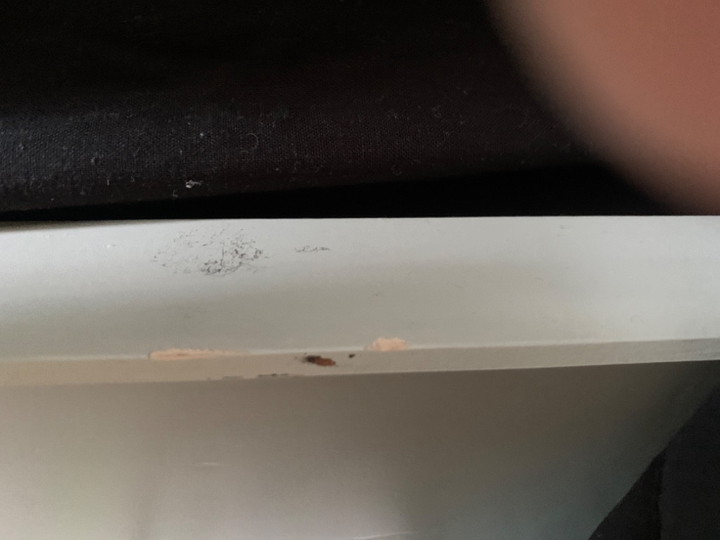 Second photo by Ashleigh Lemon of I Like to Move it Move it Removals - Large