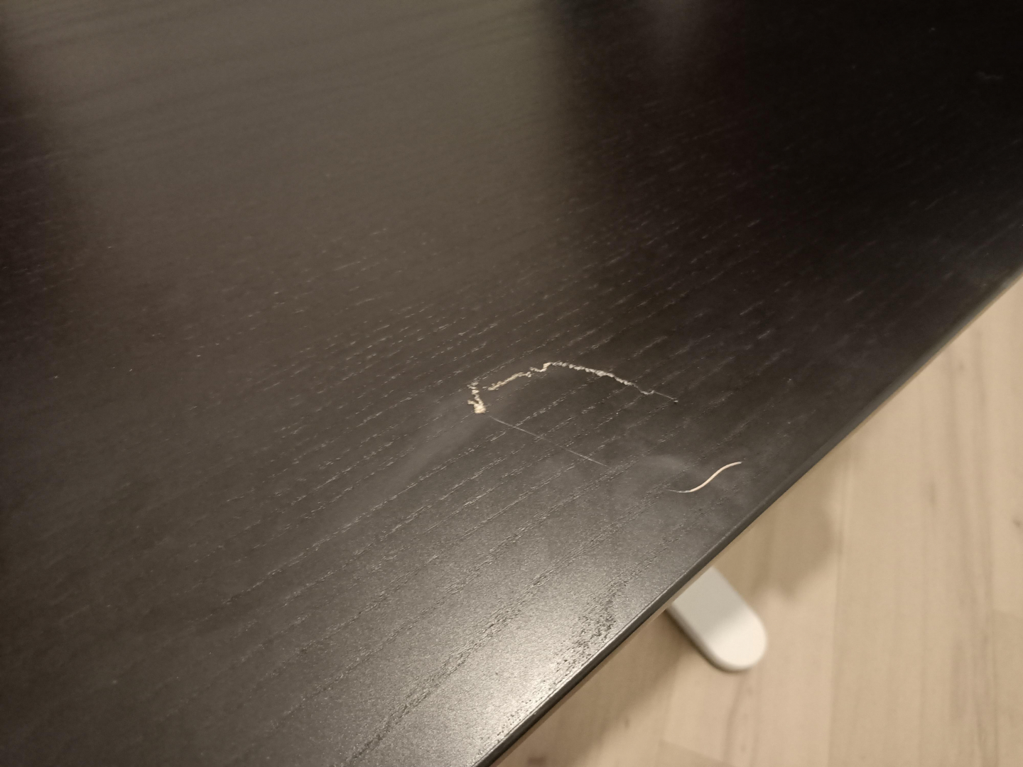 Photo by Richard Mann of Movers Direct - Large