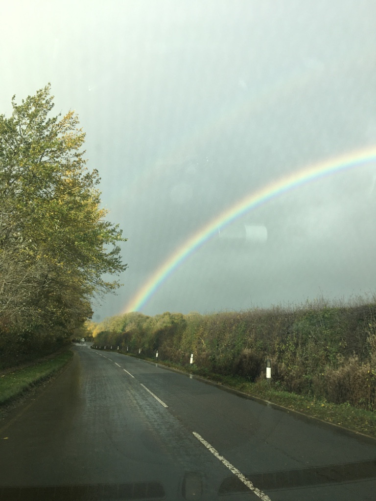 Photo by Rebecca Jovy Ford of Three Shires Removals - Large