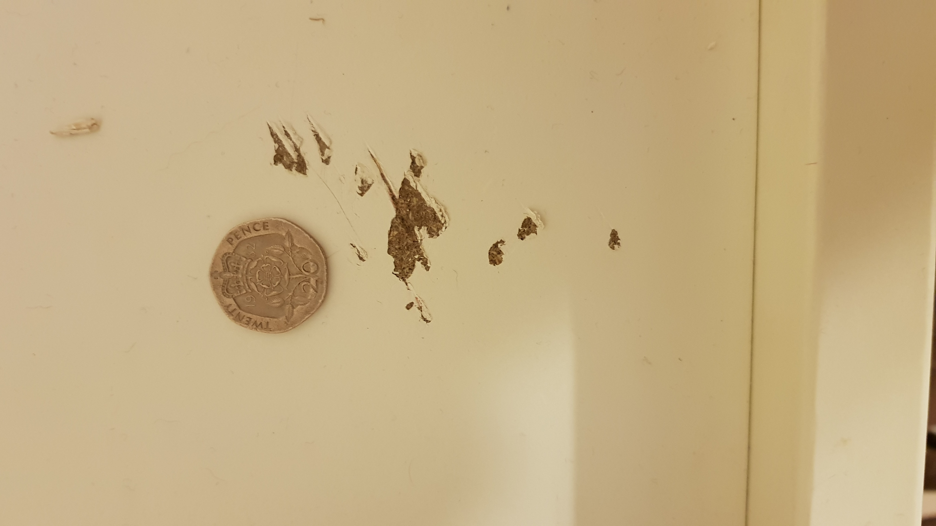 Second photo by Matt Smith of Removers and Storers Ltd - Large