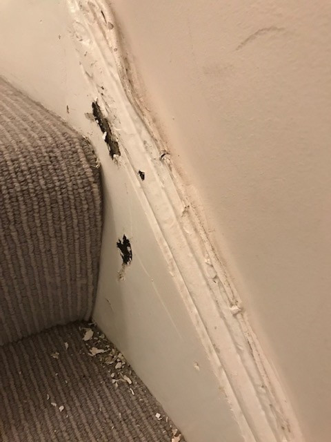 Photo by Dora Klindzic of VanaMango - Large