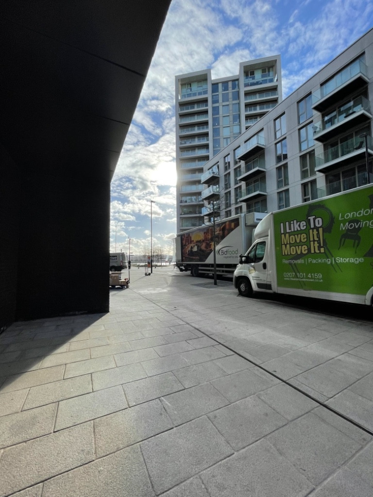 Photo by Kezia Farnham of I Like to Move it Move it Removals - Large