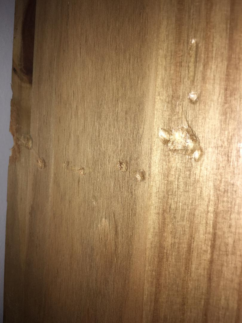 Photo by Karen Russell of AnyVan - Large