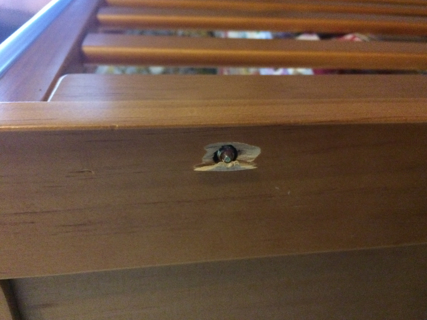 Photo by Jenny Edwards of Movers Not Shakers - Large