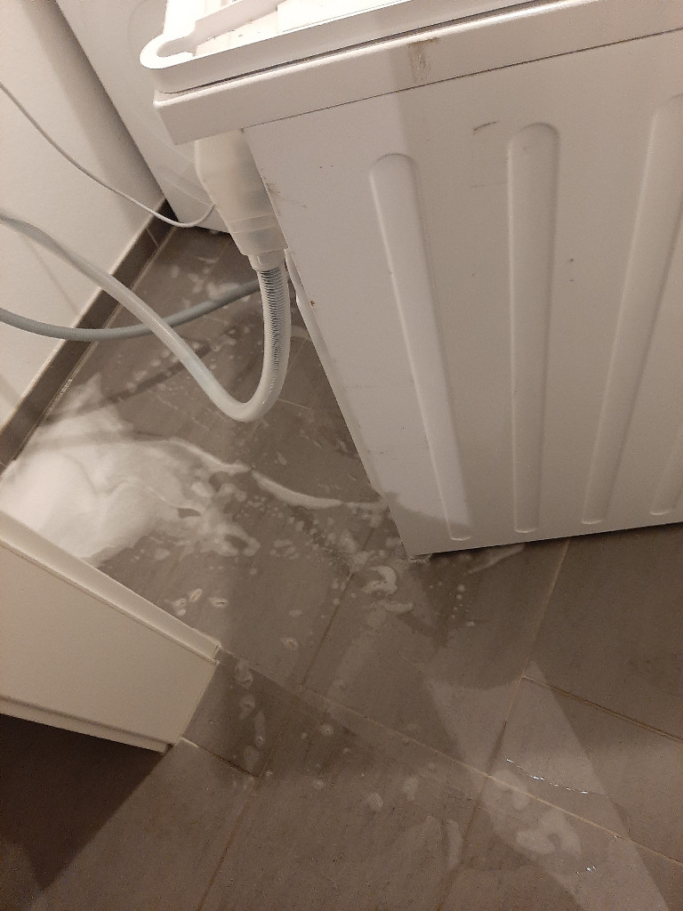 Photo by Joe Kuhnert of Axa Umzüge - Large