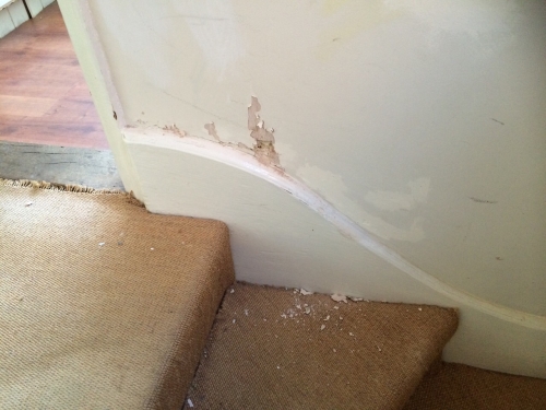 Photo by Kate Harrison of Handy Moves - Large