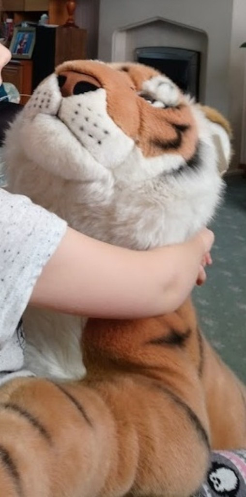 Photo by Andrew Sinclair of Callan Removals - Large