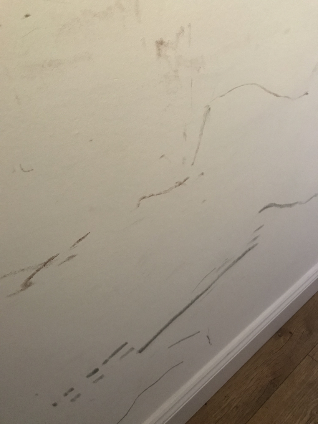 Second photo by Rebecca Luxton of Removals Centre - Large