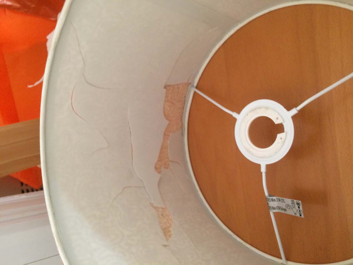 Photo by Angela of Advantage Removals London - Large