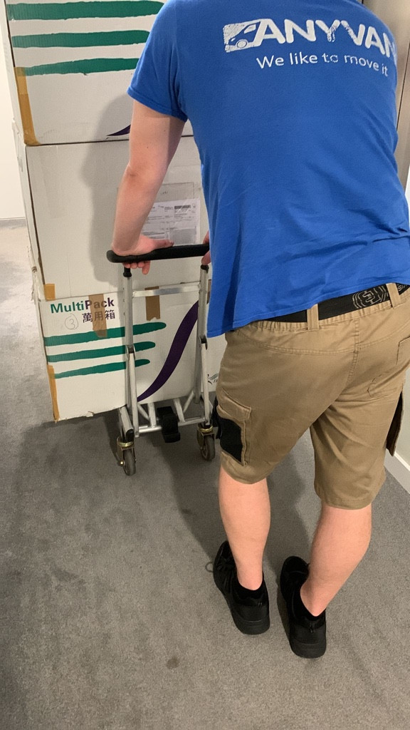 Photo by Kin Ho of AnyVan - Large