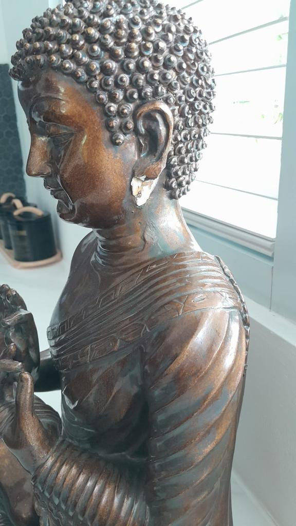 Second photo by Claudio Bali of Asian Tiger - Large