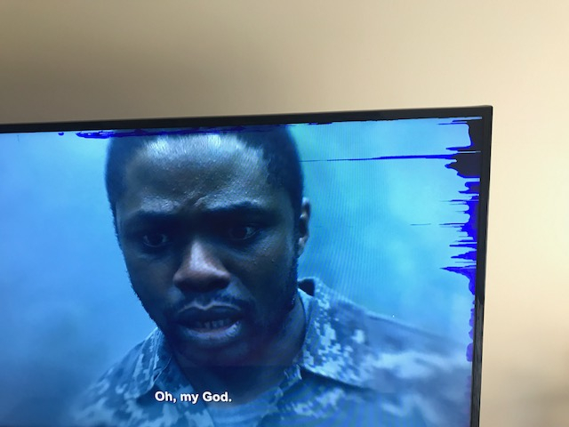 Second photo by Nicholas Bhoj of FlatRate Moving - Large