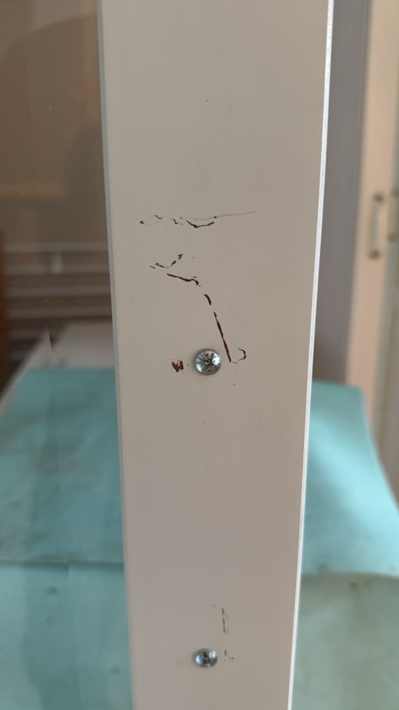 Second photo by Sevda Alhammouri of Prinz Umzüge - Large