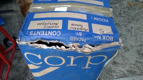 Second photo by Kristen Stone of MoveCorp - Large