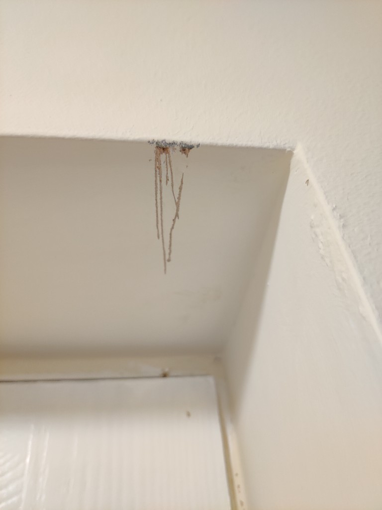 Second photo by Dell Baines of Cornerstone Removals - Large