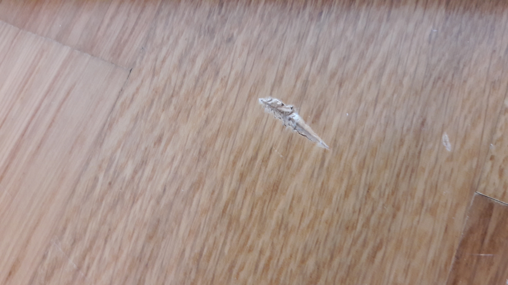 Second photo by Jochen of Rote Radler - Large