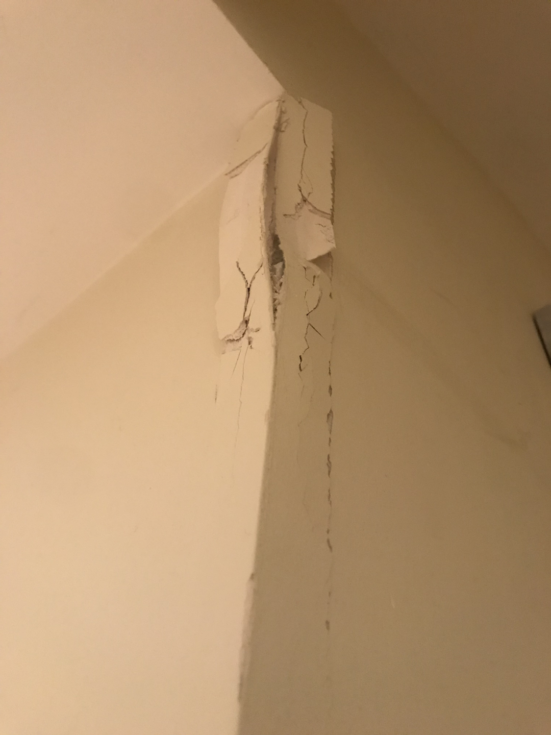 Photo by Katie Joanne Brookfield of White and Company - Large