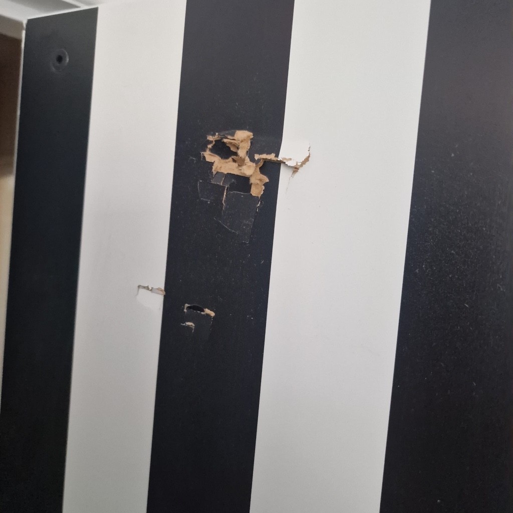 Second photo by Eliete Almeida of Master Moves Removals and Storage - Large