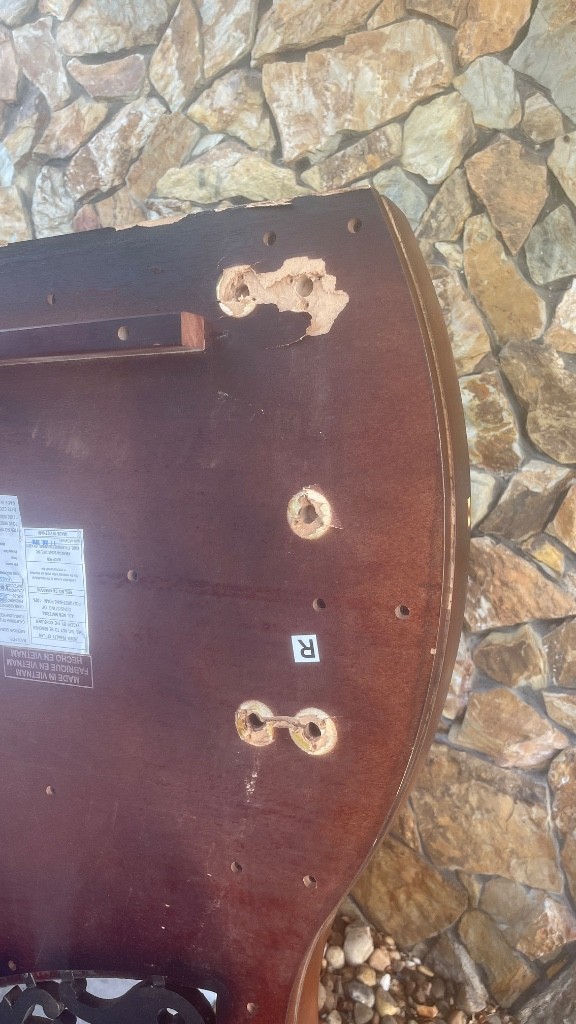 Photo by Yelena Krivskaya of Insta Movers FL - Large