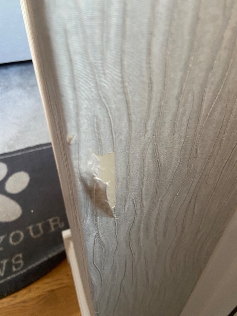 Second photo by Darren Evans of Care Move Removals - Large