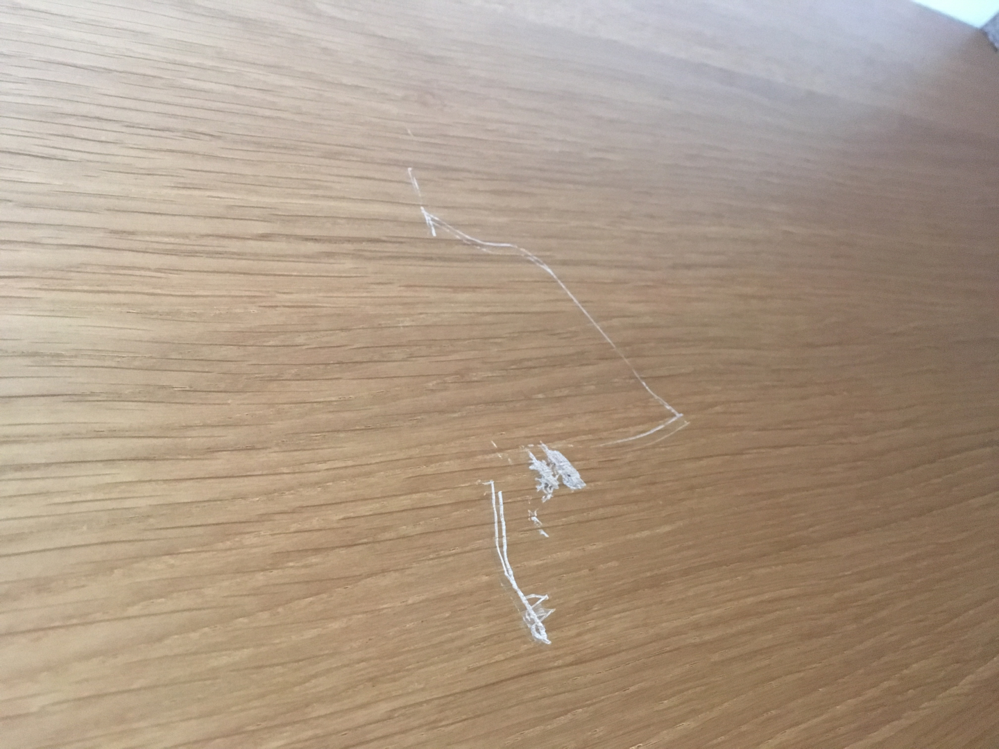 Photo by Fiona Newman of Loads 4 Less - Large