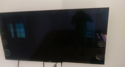 Second photo by Ash Khan of DBM Express - Large