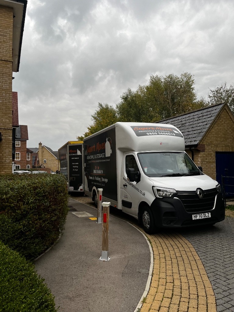 Photo by Tina Huynh of Superb Moves - Large