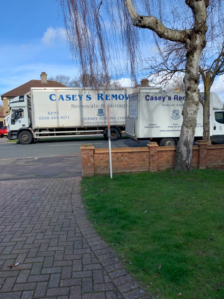 Photo by Janine Mitchell of Casey's Removals - Large