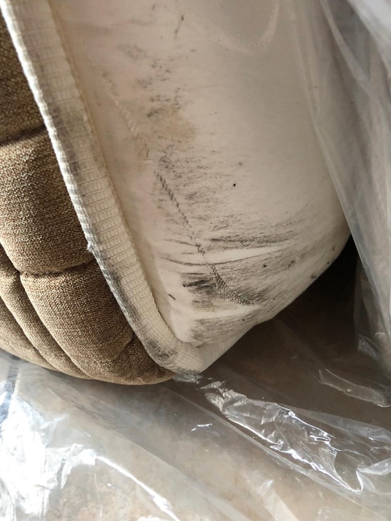 Second photo by Erwann Rives of Right Moving - Large