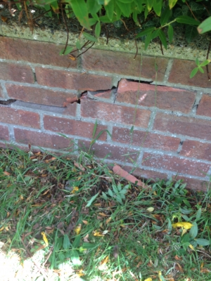 Photo by Peter Hodge of Removers and Storers Ltd - Large