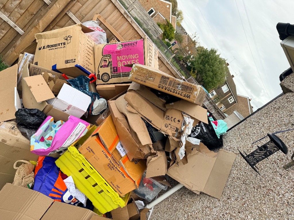 Photo by Shayla Louise Grindle of AnyVan - Large