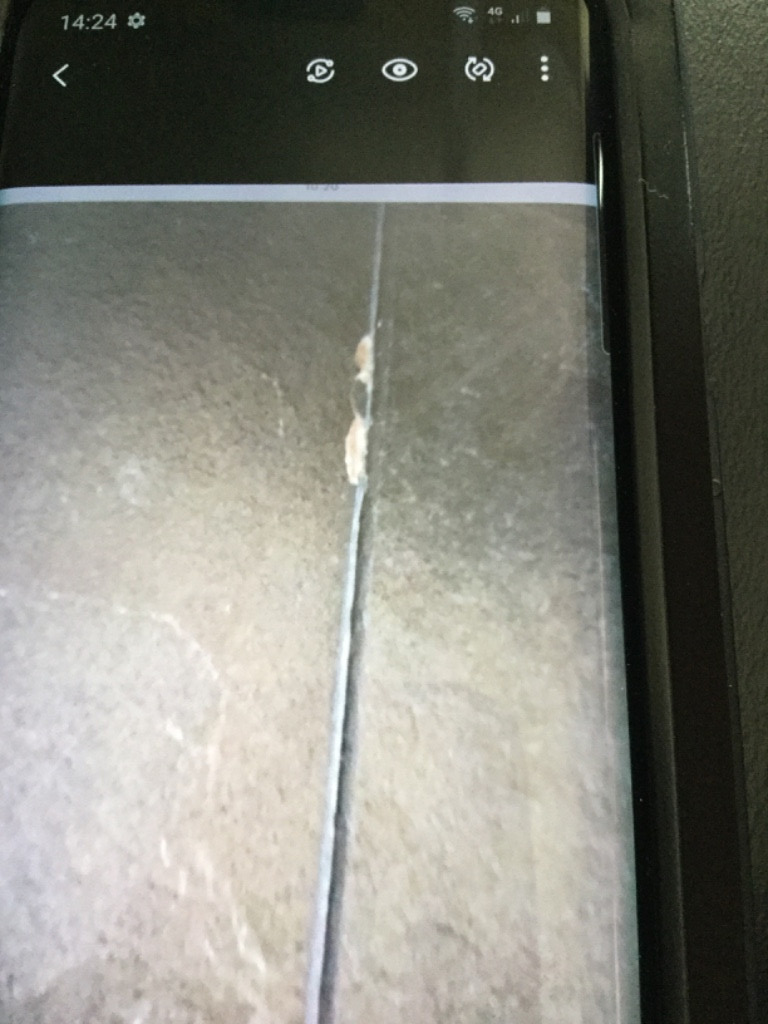 Photo by Rachel Jordan of Castle removals - Large