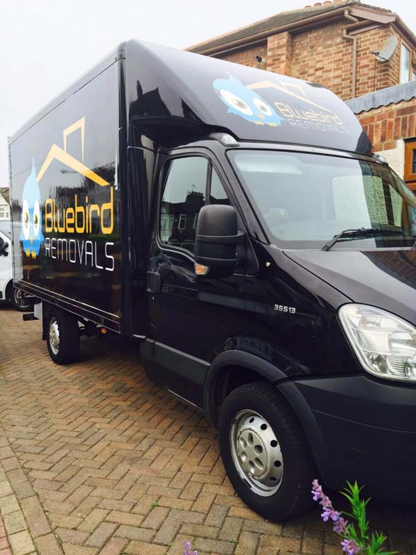 Second photo by Adeel of Bluebird Cargo LTD - Large