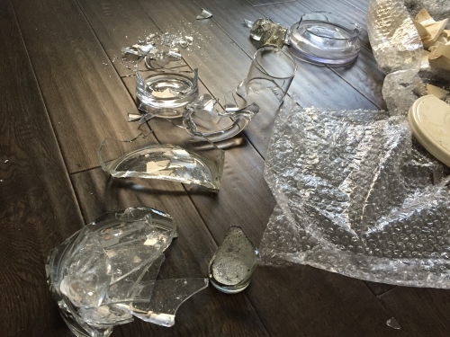 Second photo by Marlow Warrington of Seven Seas Worldwide - Large