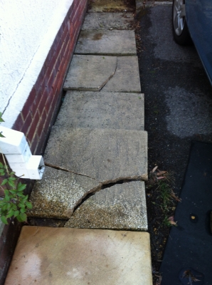 Photo by Christine Phillips of Simply Removals - Large