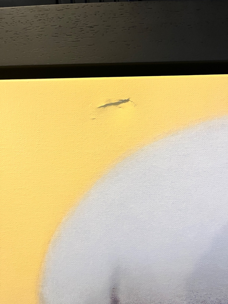 Photo by Stephanie Winters of AnyVan - Large