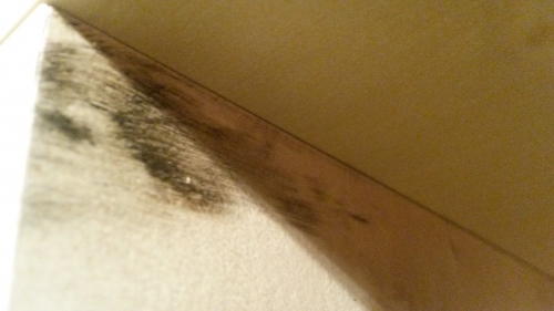 Photo by Schweickart of Zapf Umzüge - Large