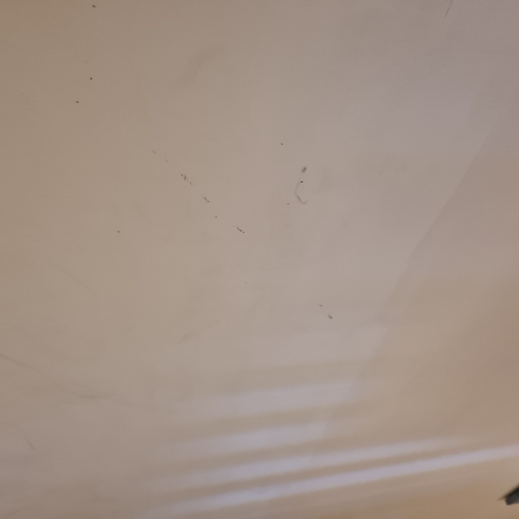 Photo by Joe Dufosse of Skyline Removals - Large