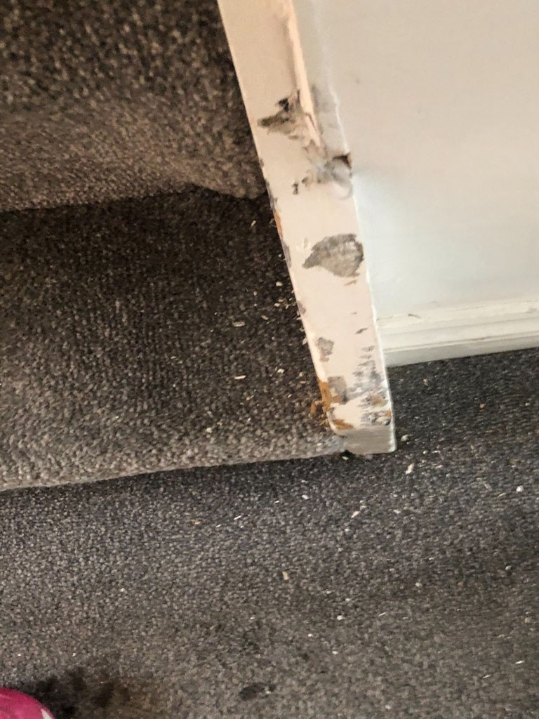 Photo by Dean Coady Obe of DeliveryD2D Ltd - Large