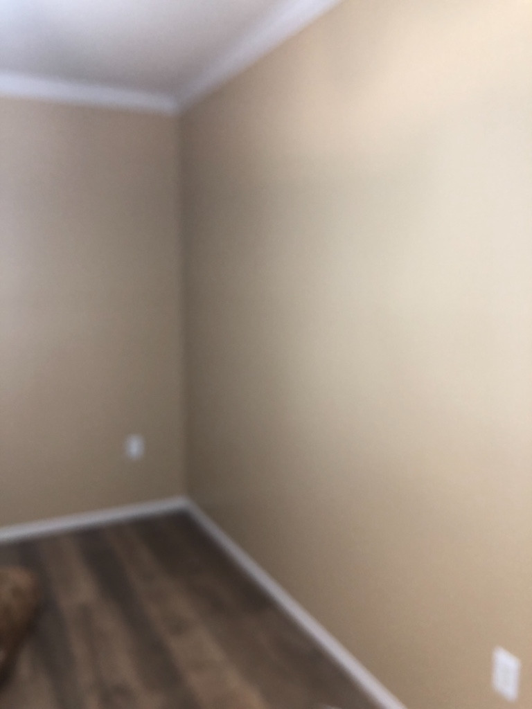 Photo by Raj Harricharran of Klasse Umzüge - Large